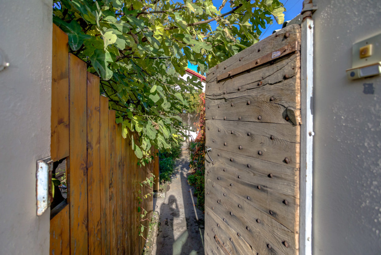 maison#jardin#estaque#marseille-23