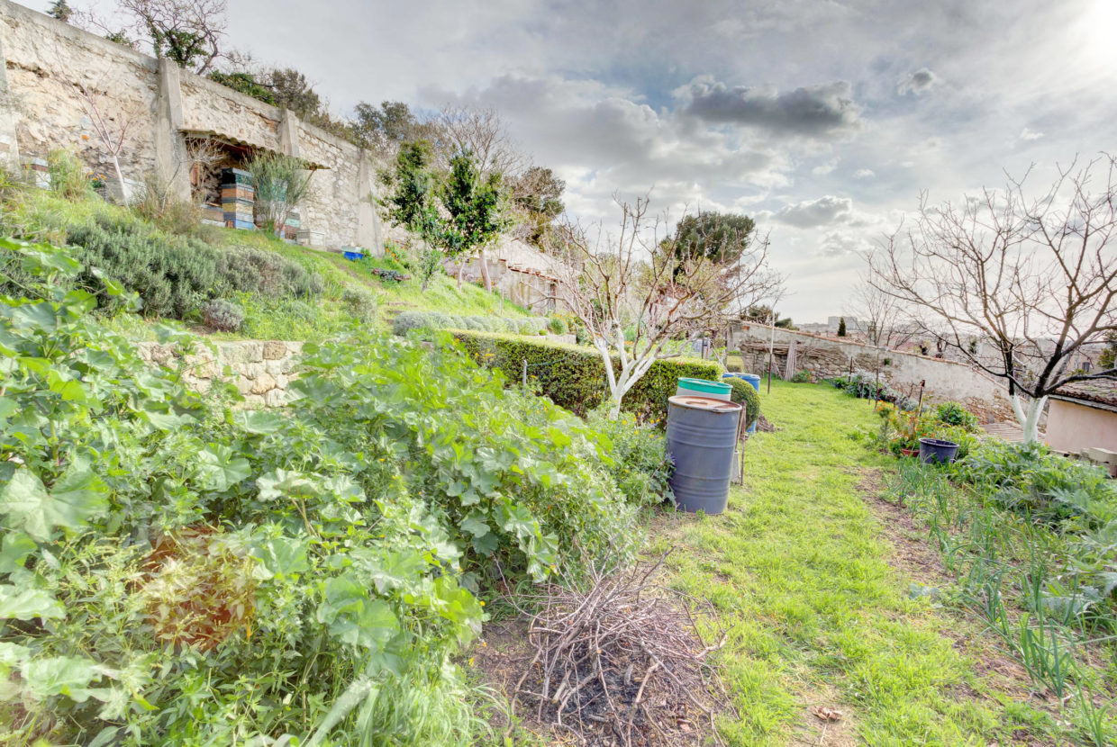 Ma_Terrasse_à_Marseille_5.jpg (2)