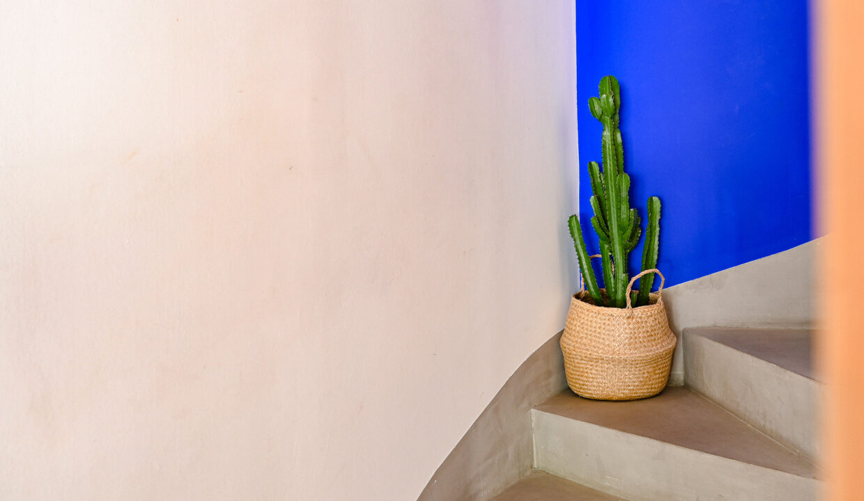 Ma_Terrasse_Marseille_Roches-3A