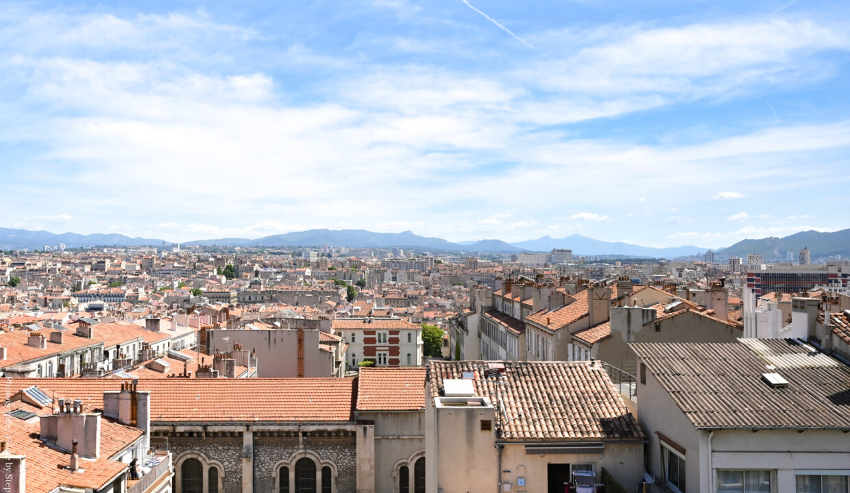 appartement terrasse vauban vue notre dame 6
