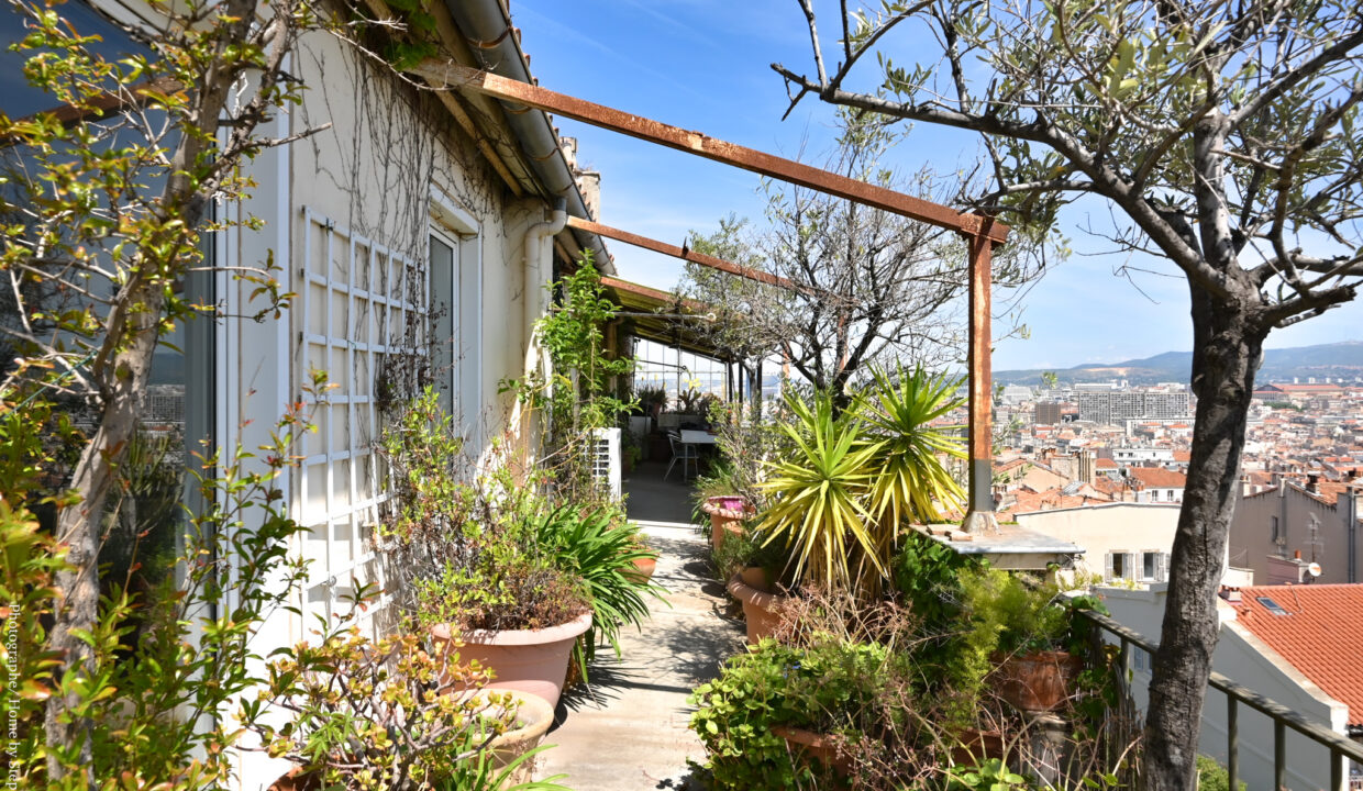 appartement terrasse vauban vue notre dame 7